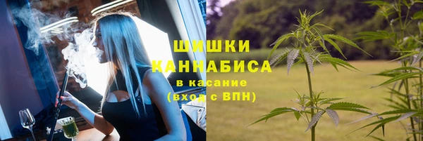 гидра Алексин