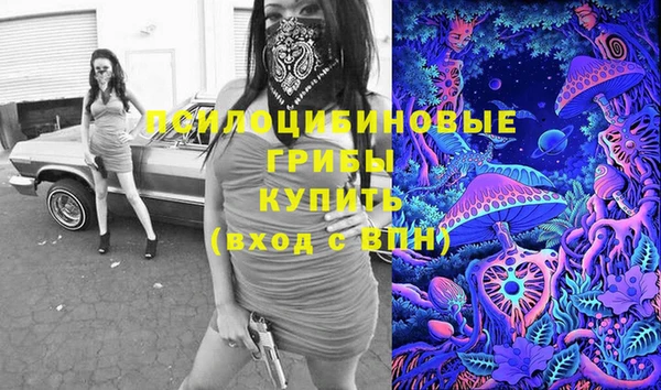 твердый Алексеевка