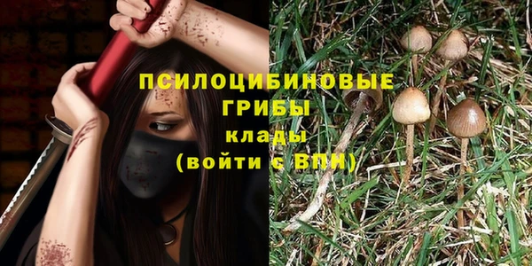 твердый Алексеевка
